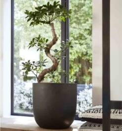 Capi Europe - Bloempot Bol Smooth NL - 35x34 - Zwart - Voor Binnen En Buiten - KBL932 24 Capi Europe - Bloempot Bol Smooth NL - 35x34 - Zwart - Voor Binnen En Buiten - KBL932 -Gardena Winkel 1116x1200 1