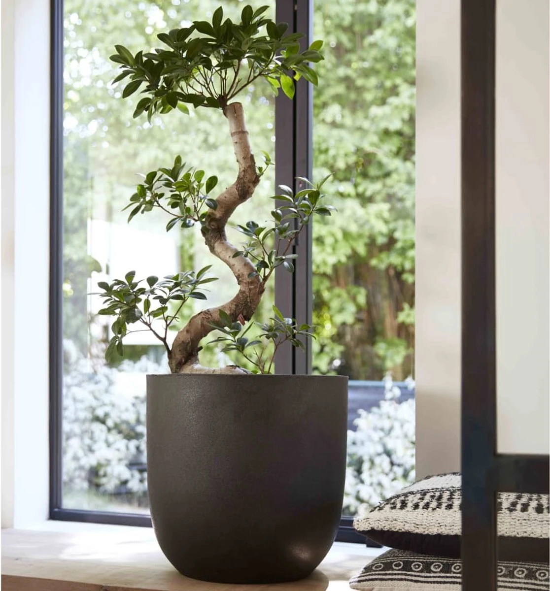 Capi Europe - Bloempot Bol Smooth NL - 35x34 - Zwart - Voor Binnen En Buiten - KBL932 10 Capi Europe - Bloempot Bol Smooth NL - 35x34 - Zwart - Voor Binnen En Buiten - KBL932 - Afbeelding 8