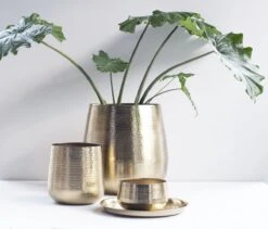 Gina Da - Bloempot - Karakter - Goud - Metaal - 15 Cm Hoog -Gardena Winkel 1200x1027