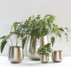 Gina Da - Bloempot - Karakter - Goud - Metaal - 15 Cm Hoog -Gardena Winkel 1200x1142 1