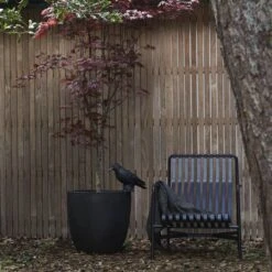 Capi Europe - Bloempot Bol Smooth NL - 35x34 - Zwart - Voor Binnen En Buiten - KBL932 25 Capi Europe - Bloempot Bol Smooth NL - 35x34 - Zwart - Voor Binnen En Buiten - KBL932 -Gardena Winkel 1200x1200 806