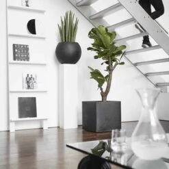 Capi Europe - Bloempot Vierkant Smooth NL - 50x50x50 - Zwart - Voor Binnen En Buiten - KBL904 -Gardena Winkel 1200x1200 833