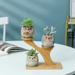 Luxe Bamboe Houten Boom Met 3 Keramiek Uil Bloempotten/Plantenpotten Op Standaard/Voet Voor Binnen En Buiten - Modern Design Bloempot/Plantenpot Op Poten/Pootjes-Plantenbak Mini Cactus Nep Plant Pot Houder - Kleine Bloembakken Plantenrek/Plantenkurk -Gardena Winkel 1200x1200 840