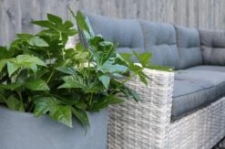 Merkloos Rivièra Original | Loungeset Hoekset Dining Set Tuinset | Wicker | Hoekbank, Hoge Tuintafel, 2 Hockers | 6 Zitplaatsen -Gardena Winkel 1200x793 2