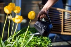 Xala - Gieter Doppio Groove 2L Olijfgrijs 7 Xala - Gieter Doppio Groove 2L Olijfgrijs -Gardena Winkel 1200x799 46