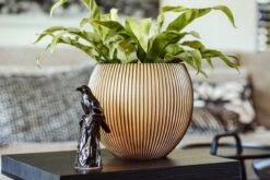 Capi Europe - Vaas Bol Groove XL - 63x51 - Goud - Bloempot Voor Binnen - Opening ⌀42 - GVGB271 -Gardena Winkel 1200x800 150