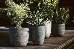 Capi Europe - Bloempot Bol Rib NL - 35x34 - Antraciet - Voor Binnen En Buiten - KOFZ932 -Gardena Winkel 1200x800 151