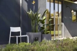 Capi Europe - Bloempot Vierkant Smooth NL - 50x50x50 - Zwart - Voor Binnen En Buiten - KBL904 -Gardena Winkel 1200x800 154