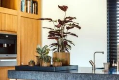 Capi Europe - Vaas Bol Groove XL - 39x33 - Goud - Bloempot Voor Binnen - Opening ⌀24 - GVGB270 10 Capi Europe - Vaas Bol Groove XL - 39x33 - Goud - Bloempot Voor Binnen - Opening ⌀24 - GVGB270 -Gardena Winkel 1200x800 158