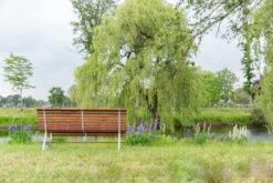 MaximaVida Tuinbank Budapest Oil 170 Cm - Uit Exclusief Mahoniehout 17 MaximaVida Tuinbank Budapest Oil 170 Cm - Uit Exclusief Mahoniehout -Gardena Winkel 1200x800 95