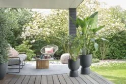 Elho Pure Coupe 41 - Bloempot Voor Binnen & Buiten - Ø 41.3 X H 57.9 Cm - Zwart/Zwart -Gardena Winkel 1200x805 2