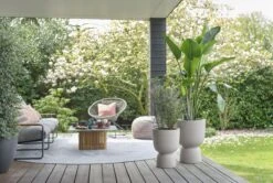 Elho Pure Coupe 41 - Bloempot Voor Binnen & Buiten - Ø 41.3 X H 57.9 Cm - Beige/Balanced Beige -Gardena Winkel 1200x808 3