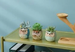 Luxe Bamboe Houten Boom Met 3 Keramiek Uil Bloempotten/Plantenpotten Op Standaard/Voet Voor Binnen En Buiten - Modern Design Bloempot/Plantenpot Op Poten/Pootjes-Plantenbak Mini Cactus Nep Plant Pot Houder - Kleine Bloembakken Plantenrek/Plantenkurk -Gardena Winkel 1200x840