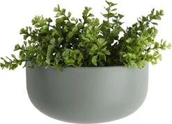 Pt Wand Bloempot Oval Wide - Green -Gardena Winkel 1200x872 1