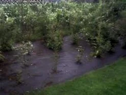 Tentzeil Bescherming , Gronddoek , Anti Worteldoek 8 X 4.80 Mtr / 130 Gr P/m² -Gardena Winkel 1200x900 16