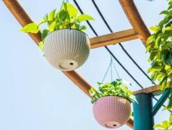 Hangpot Kunststof – Bloempot Hangend – Binnen & Buiten- Plantenhanger –Incl. Afvoerstop – 26 Cm - Zwart -Gardena Winkel 1200x904 2