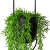 Be-Inspired® Hangende Bloempot Ovaal - Bloempot Binnen - Voor Hangplant – Plant Bloem Pot Met Opknoping – Plantenhanger - Plantenbak - Industrieel – Scandinavisch - Metaal - Zwart -Gardena Winkel 314x1200