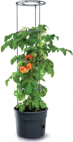 TOMATENPOT VOOR HET KWEKEN VAN TOMATEN PROSPERPLAST 28L -Gardena Winkel 621x1200 3