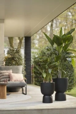 Elho Pure Coupe 41 - Bloempot Voor Binnen & Buiten - Ø 41.3 X H 57.9 Cm - Zwart/Zwart -Gardena Winkel 800x1200 55