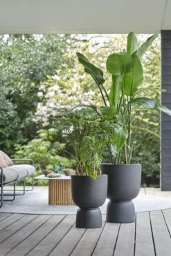 Elho Pure Coupe 41 - Bloempot Voor Binnen & Buiten - Ø 41.3 X H 57.9 Cm - Zwart/Zwart -Gardena Winkel 800x1200 56