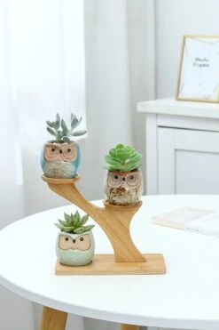 Luxe Bamboe Houten Boom Met 3 Keramiek Uil Bloempotten/Plantenpotten Op Standaard/Voet Voor Binnen En Buiten - Modern Design Bloempot/Plantenpot Op Poten/Pootjes-Plantenbak Mini Cactus Nep Plant Pot Houder - Kleine Bloembakken Plantenrek/Plantenkurk -Gardena Winkel 800x1200 62