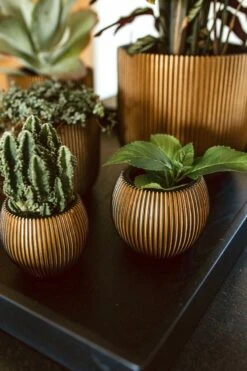 Capi Europe - Vaas Bol Groove XL - 39x33 - Goud - Bloempot Voor Binnen - Opening ⌀24 - GVGB270 9 Capi Europe - Vaas Bol Groove XL - 39x33 - Goud - Bloempot Voor Binnen - Opening ⌀24 - GVGB270 -Gardena Winkel 800x1200 64