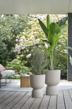 Elho Pure Coupe 41 - Bloempot Voor Binnen & Buiten - Ø 41.3 X H 57.9 Cm - Beige/Balanced Beige -Gardena Winkel 800x1200 67