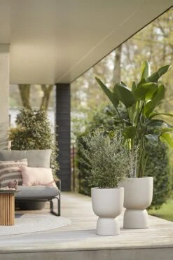 Elho Pure Coupe 41 - Bloempot Voor Binnen & Buiten - Ø 41.3 X H 57.9 Cm - Beige/Balanced Beige -Gardena Winkel 800x1200 69