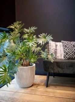 Capi Europe - Vaas Elegant Laag Groove NL - 46x58 - Goud - Voor Binnen En Buiten - KGVGB783 14 Capi Europe - Vaas Elegant Laag Groove NL - 46x58 - Goud - Voor Binnen En Buiten - KGVGB783 -Gardena Winkel 883x1200