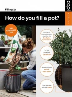 Capi Europe - Bloempot Bol Smooth NL - 35x34 - Zwart - Voor Binnen En Buiten - KBL932 29 Capi Europe - Bloempot Bol Smooth NL - 35x34 - Zwart - Voor Binnen En Buiten - KBL932 -Gardena Winkel 892x1200