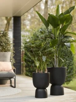 Elho Pure Coupe 41 - Bloempot Voor Binnen & Buiten - Ø 41.3 X H 57.9 Cm - Zwart/Zwart -Gardena Winkel 900x1200 10