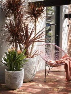 Capi Europe - Bloempot Bol Rib NL - 43x41 - Antraciet - Voor Binnen En Buiten - KOFZ933 -Gardena Winkel 900x1200 13