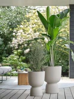 Elho Pure Coupe 41 - Bloempot Voor Binnen & Buiten - Ø 41.3 X H 57.9 Cm - Beige/Balanced Beige -Gardena Winkel 900x1200 14