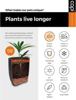 Capi Europe - Bloempot Bol Rib NL - 35x34 - Antraciet - Voor Binnen En Buiten - KOFZ932 -Gardena Winkel 917x1200 2