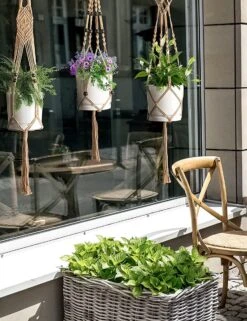 4 Stuks Luxe Jute Plantenhangers - Boho Handgeweven Katoen Hangpot Voor Binnen/Buiten - Hangende Bloempot Met Kralen - Macramé Touw/Koord Hangplant Houder - Bohemian Wandhanger Decoratie - Plant Hanger - Verticale Tuin Bloempothouder Planthanger 12 4 Stuks Luxe Jute Plantenhangers - Boho Handgeweven Katoen Hangpot Voor Binnen/Buiten - Hangende Bloempot Met Kralen - Macramé Touw/Koord Hangplant Houder - Bohemian Wandhanger Decoratie - Plant Hanger - Verticale Tuin Bloempothouder Planthanger -Gardena Winkel 923x1200 2