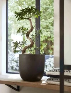 Capi Europe - Bloempot Bol Smooth NL - 35x34 - Zwart - Voor Binnen En Buiten - KBL932 19 Capi Europe - Bloempot Bol Smooth NL - 35x34 - Zwart - Voor Binnen En Buiten - KBL932 -Gardena Winkel 923x1200