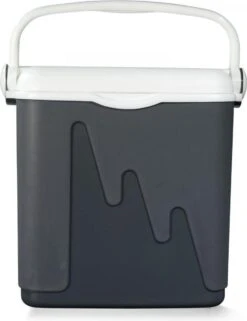 Curver Koelbox - 20L - Grijs - Isolatiekoelbox -Gardena Winkel 924x1200